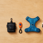 Beginner positive reinforcement dog training gear flat lay starter kit treat pouch clicker harness