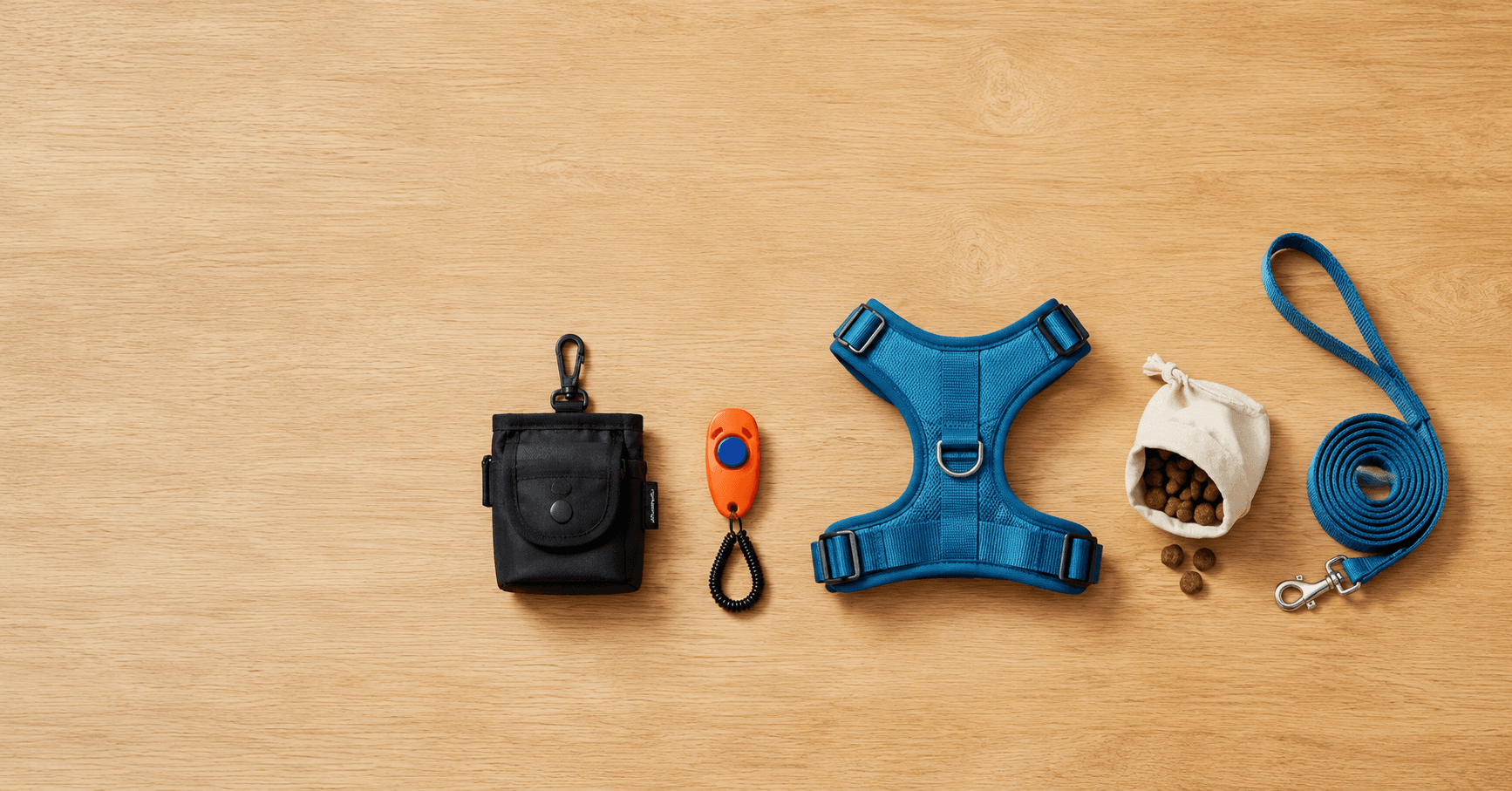 The Beginner’s Toolkit: Essential Gear for Positive Reinforcement Dog Training