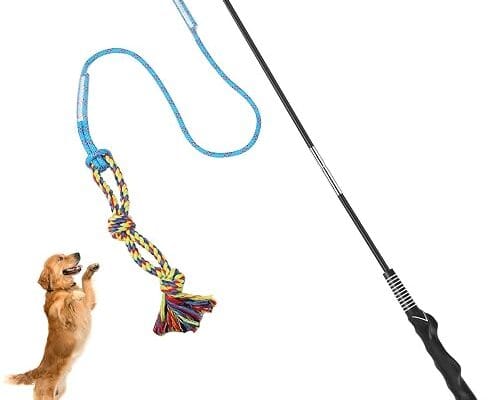 Flirt Pole Interactive Chase Toy