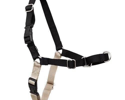 PetSafe Easy Walk Harness (No-Pull, Front-Clip)