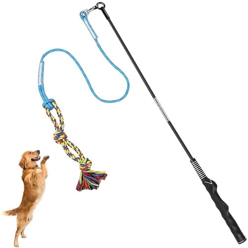Flirt Pole Interactive Chase Toy